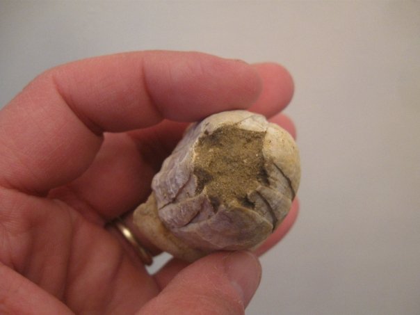 Un bel fardello da trasportare